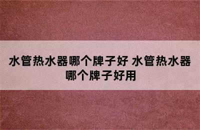 水管热水器哪个牌子好 水管热水器哪个牌子好用